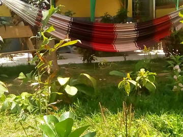 Chambre Chez L'habitant Viñales 203791-10