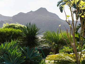 Logement Entier San Cristóbal De La Laguna 133561-10