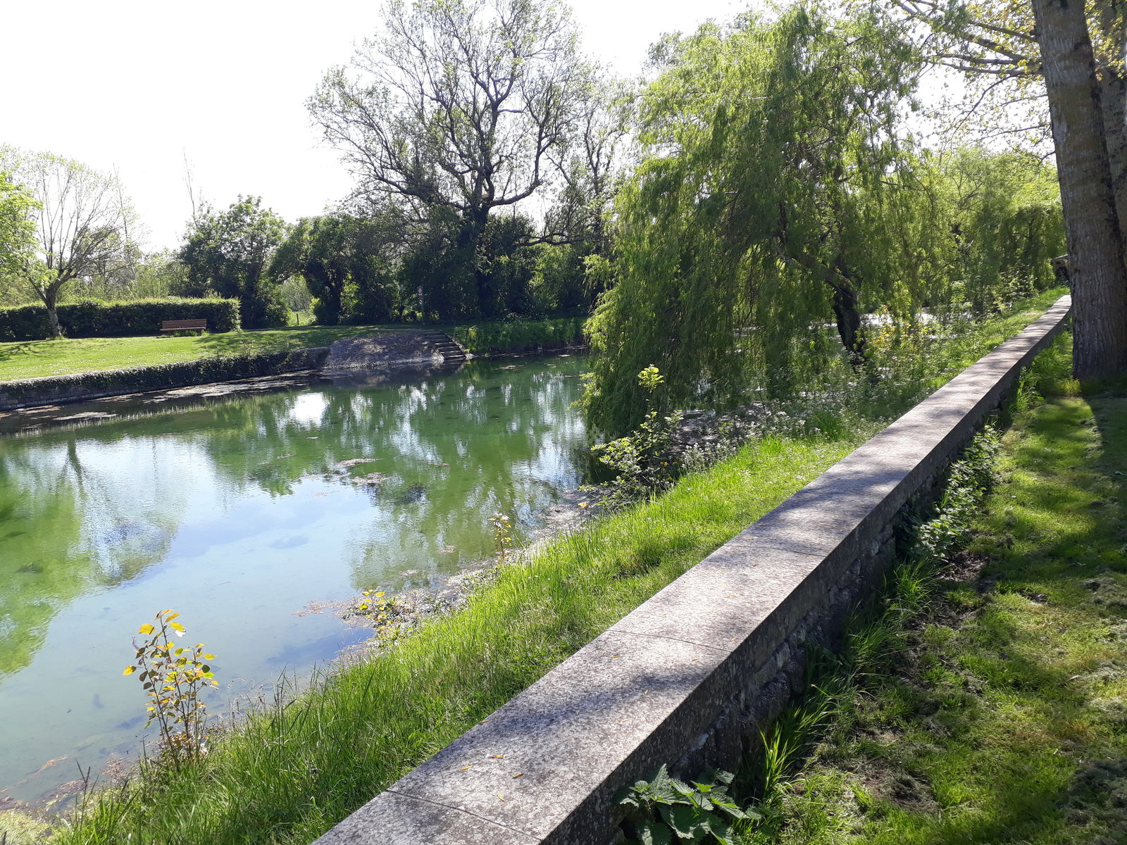 Quedarse En Casa Benet 163380