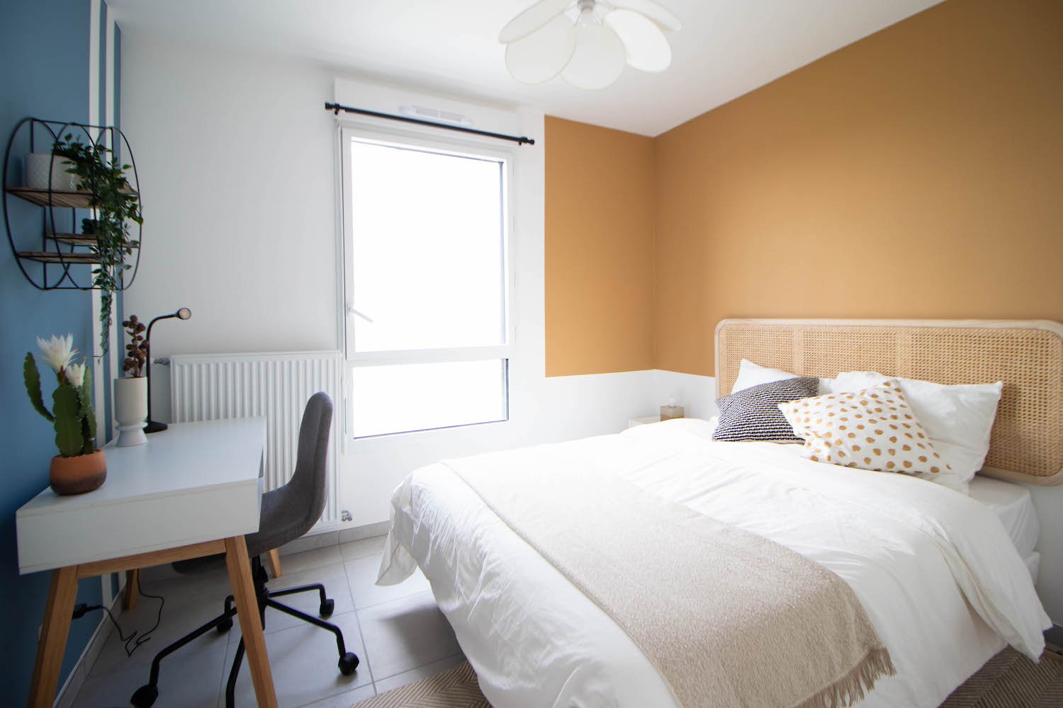 Colocation Villeurbanne 265605