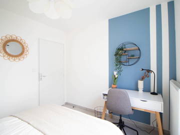 Chambre À Louer Villeurbanne 265605