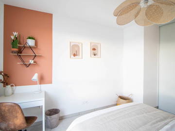 Chambre À Louer Villeurbanne 265628