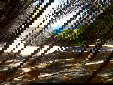 Logement Entier Torre Suda 267368-8