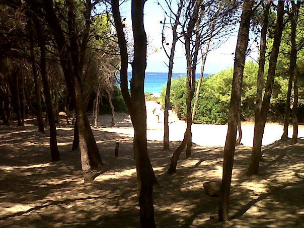 Unabhängiges Studio Torre Suda 267368