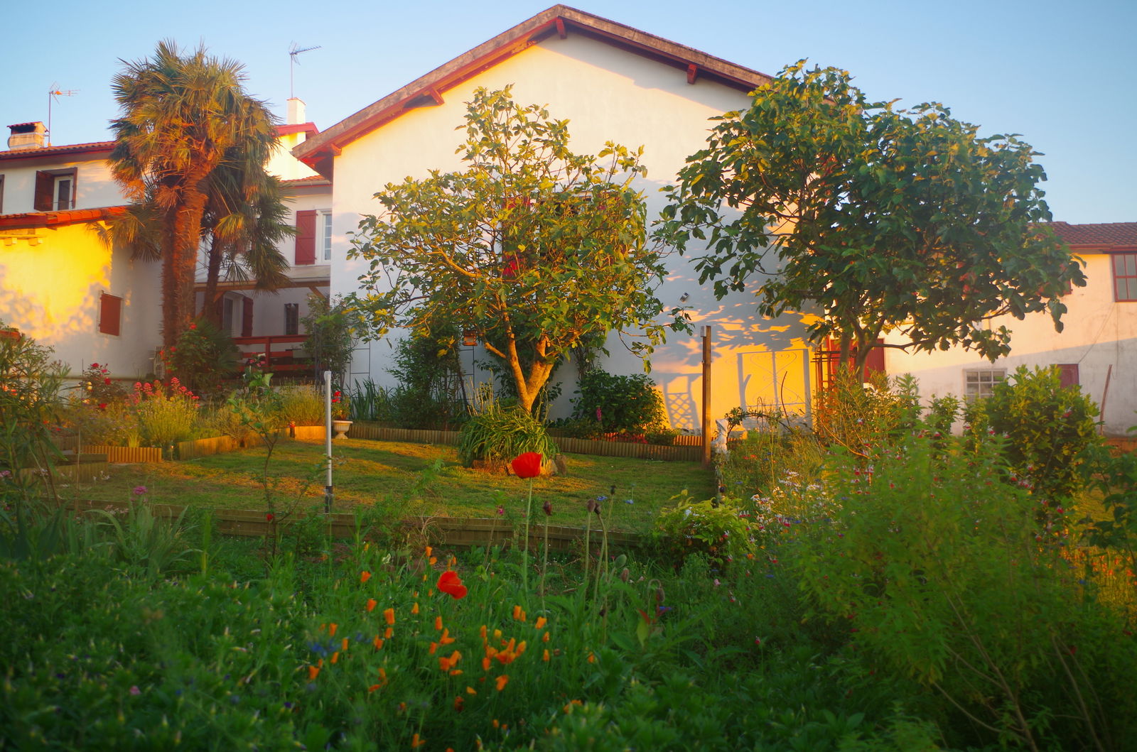 Homestay Masparraute 246419