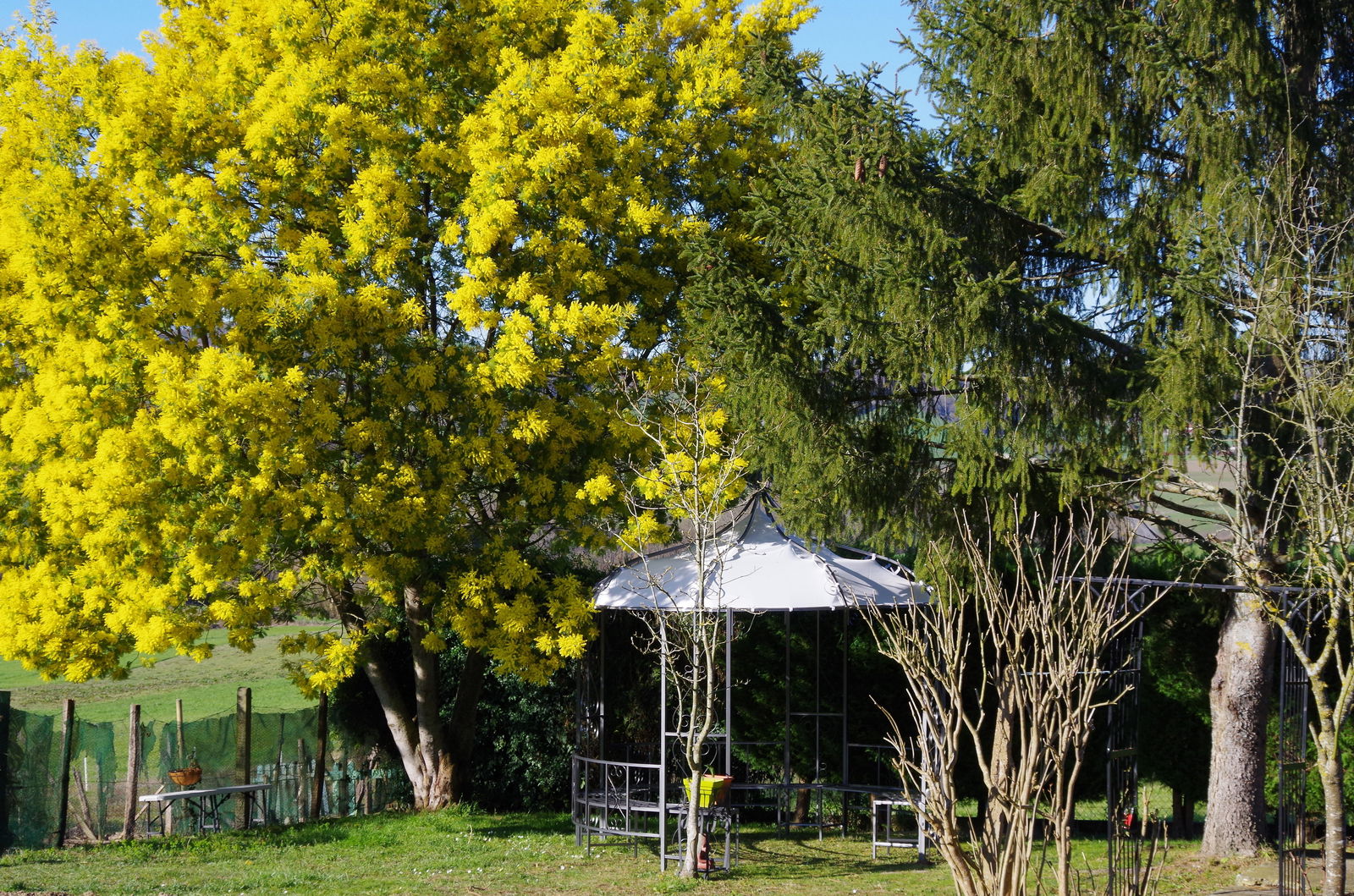 Homestay Masparraute 246438