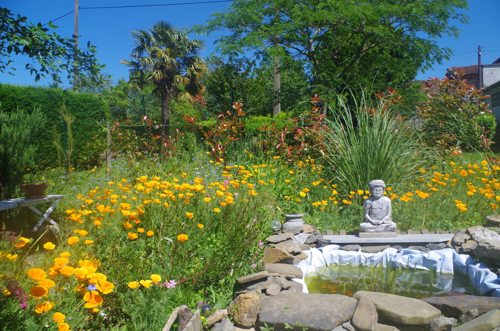 Homestay Masparraute 246446