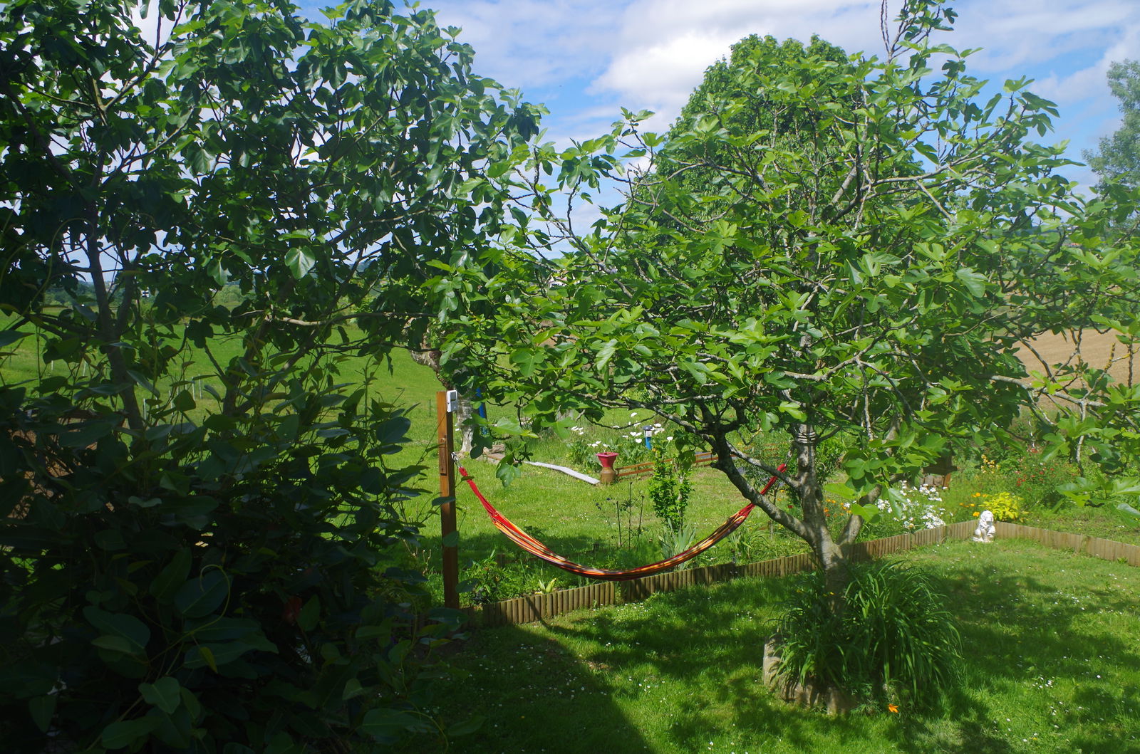 Homestay Masparraute 246448