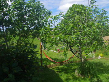Chambre Chez L'habitant Masparraute 246448-6