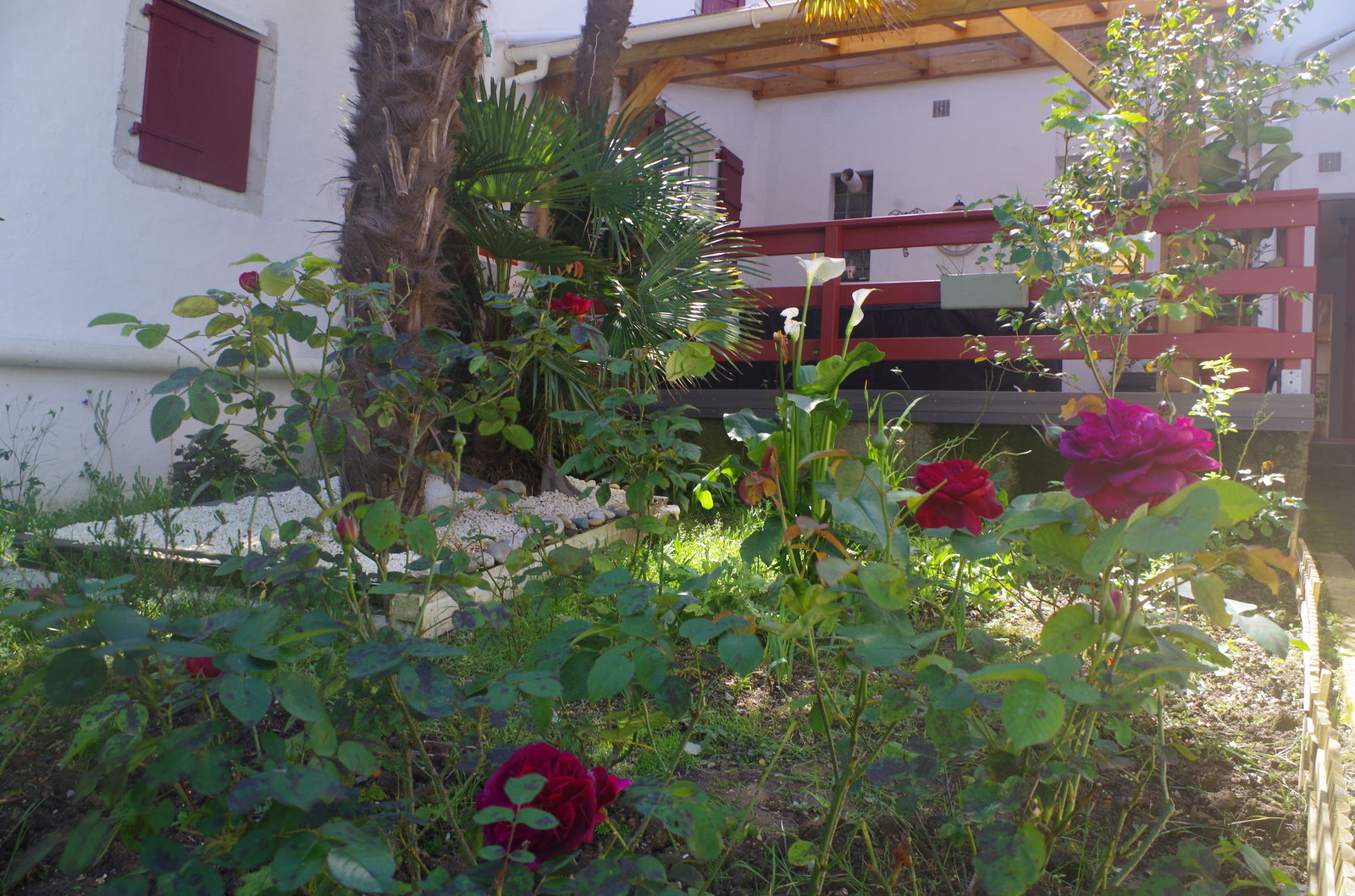 Homestay Masparraute 246448