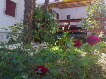 Chambre Chez L'habitant Masparraute 246448-7