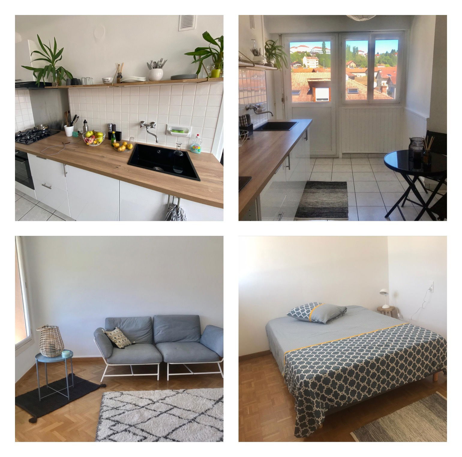 Colocation Eloise 256715