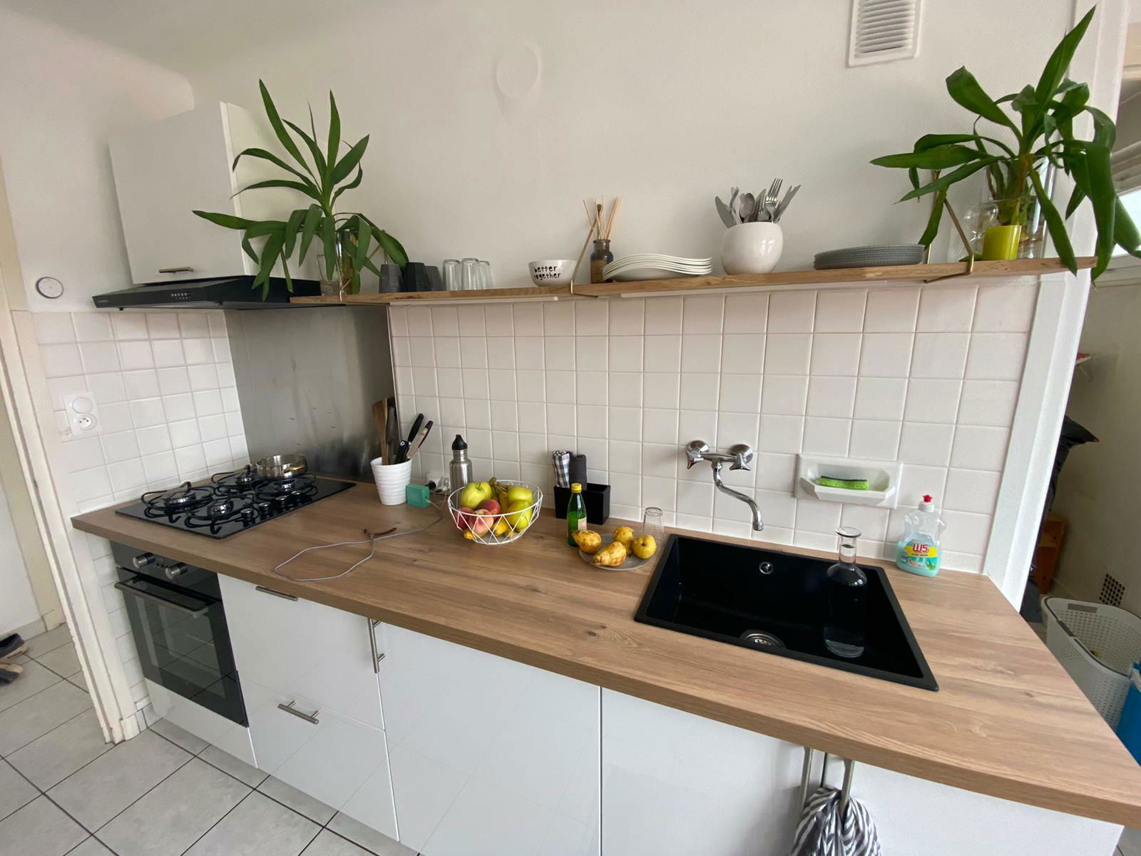 Colocation Eloise 256715