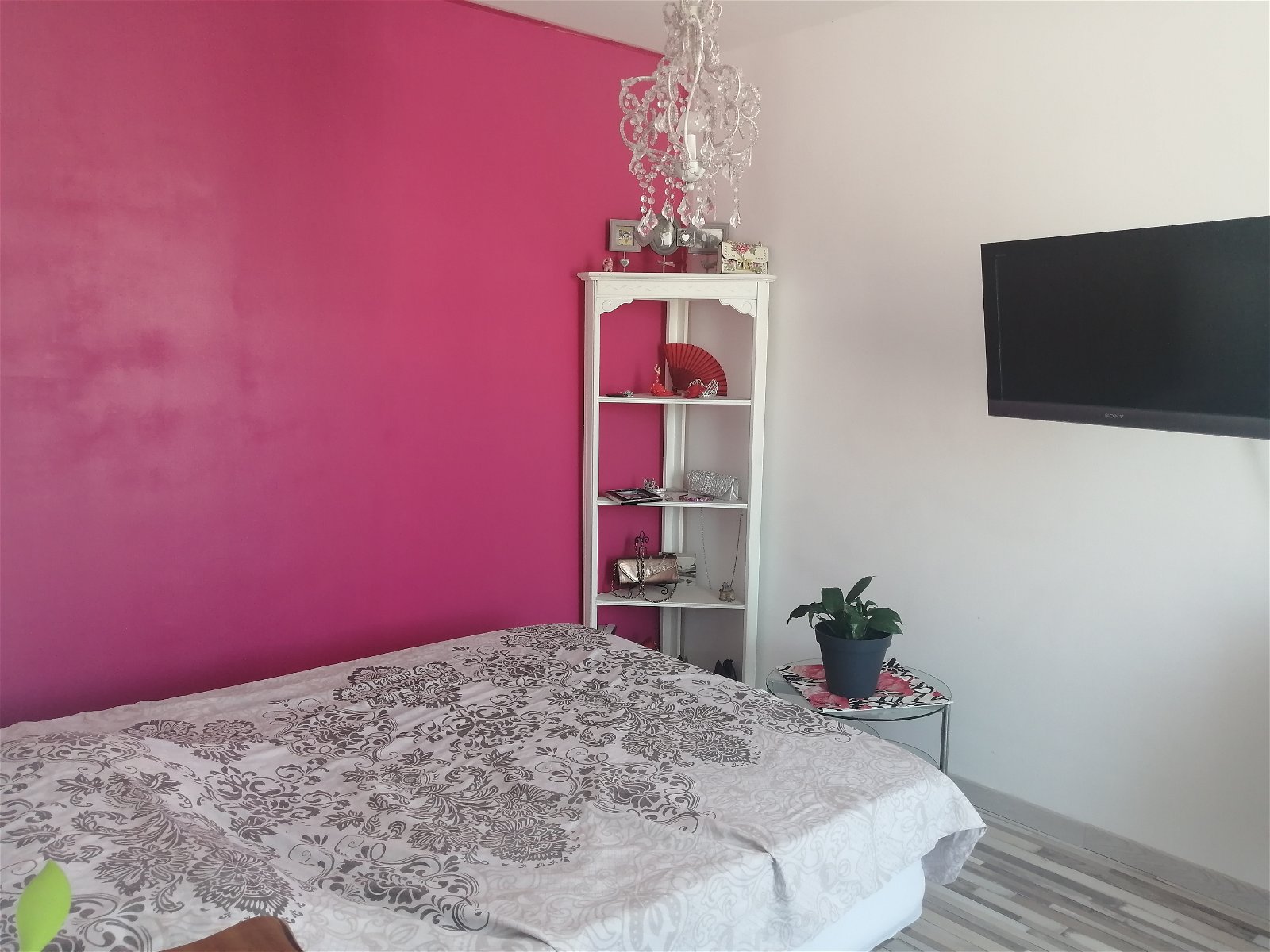 Colocation Nice 240590