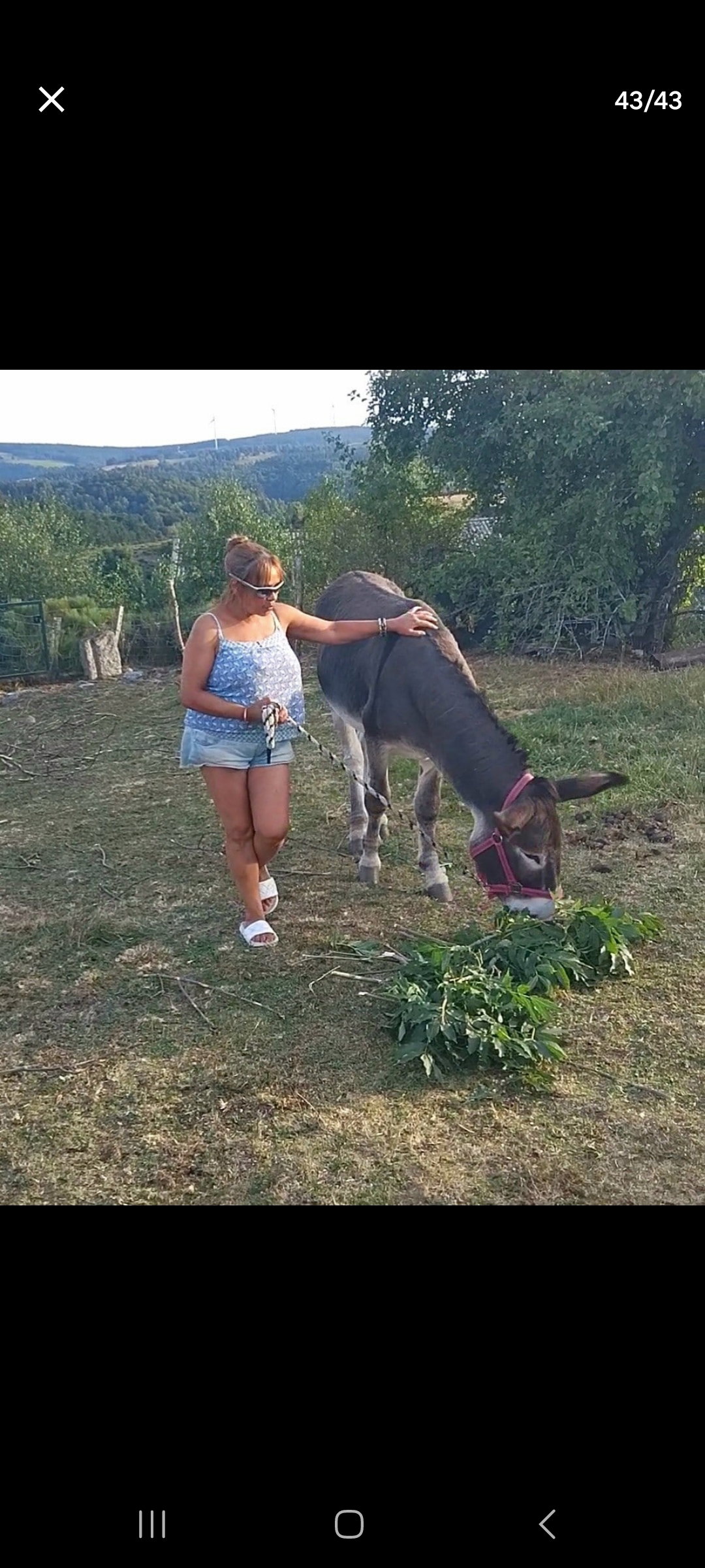 Quedarse En Casa Monts-de-Randon 250398