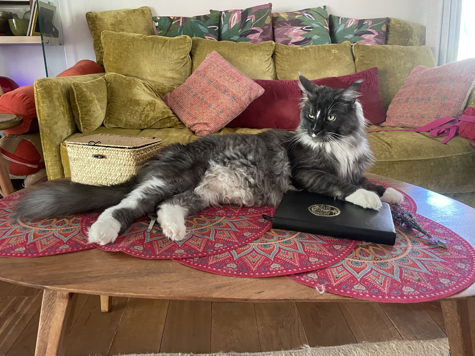 Hemvistelse La Bastidonne 649842