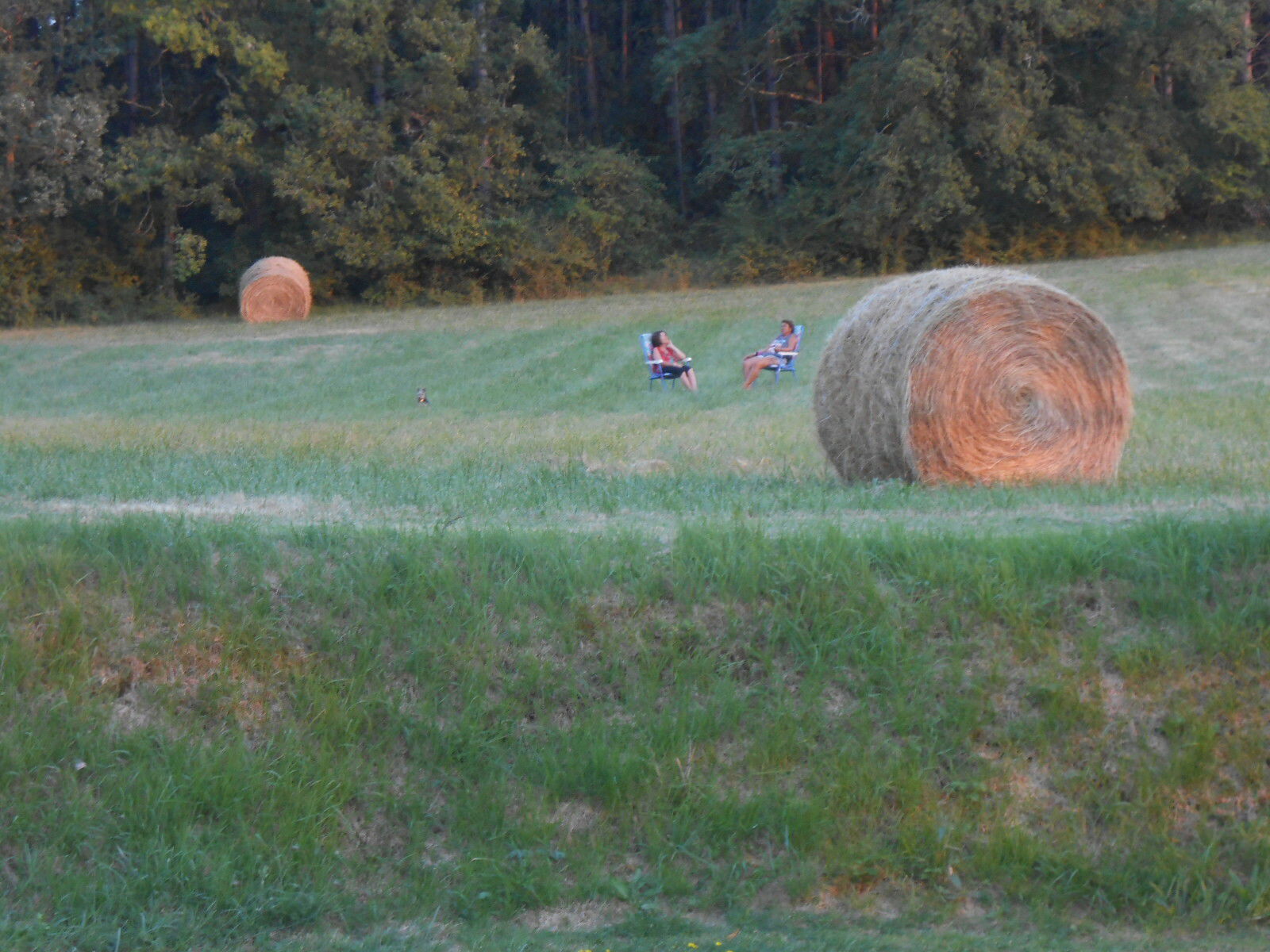 Habitaciones De Huéspedes Vergt-de-Biron 163391