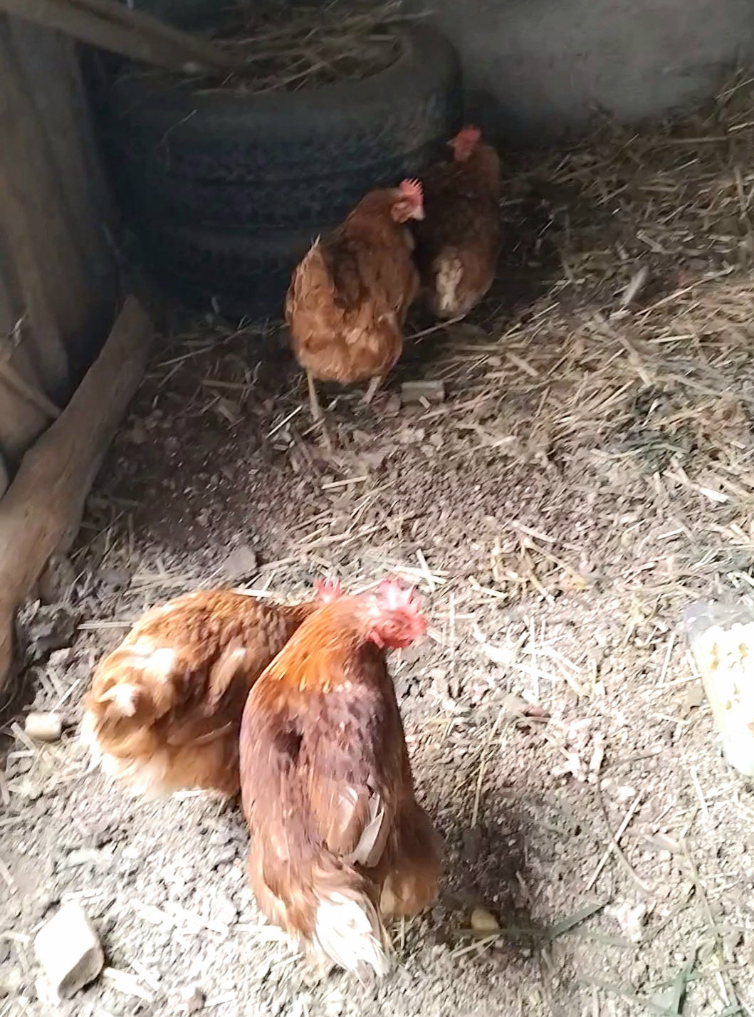 Quedarse En Casa Monts-de-Randon 250398