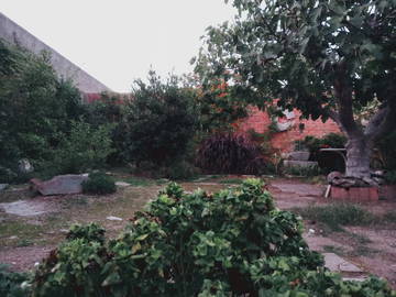 Bed And Breakfast Sierra De Fuentes 640484-3