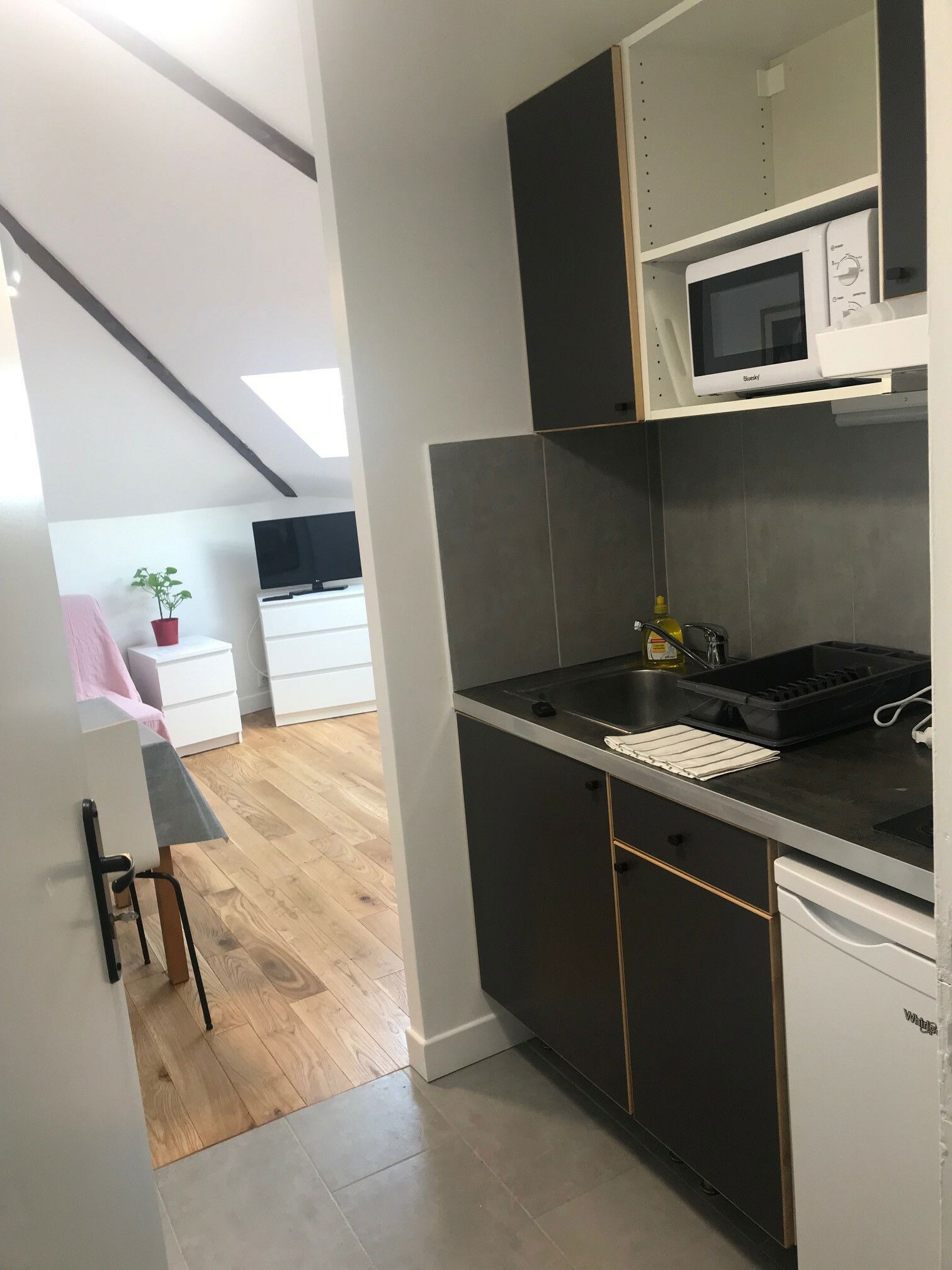 Estudio Independiente Pantin 225873