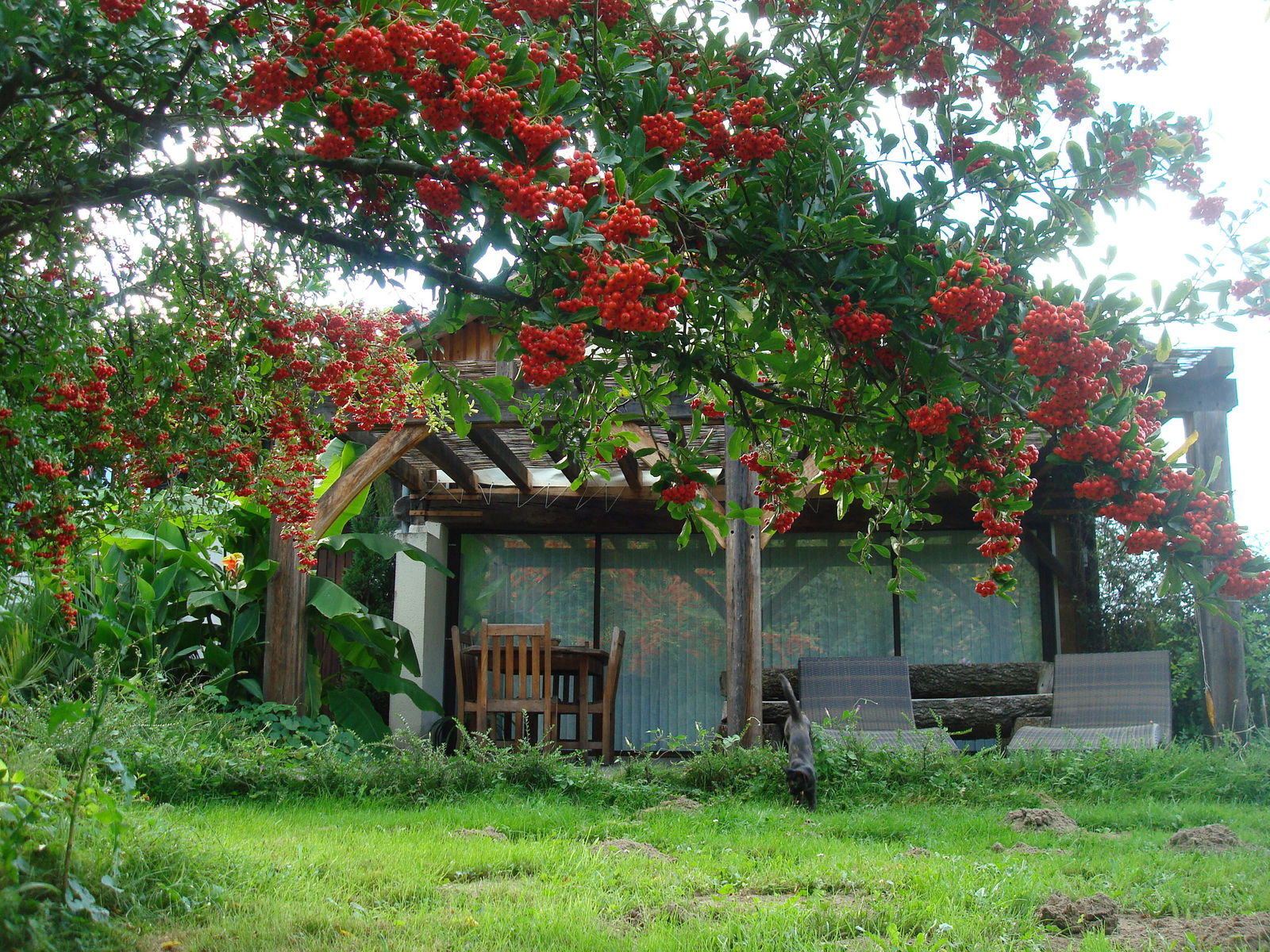Habitaciones De Huéspedes Lacquy 85469