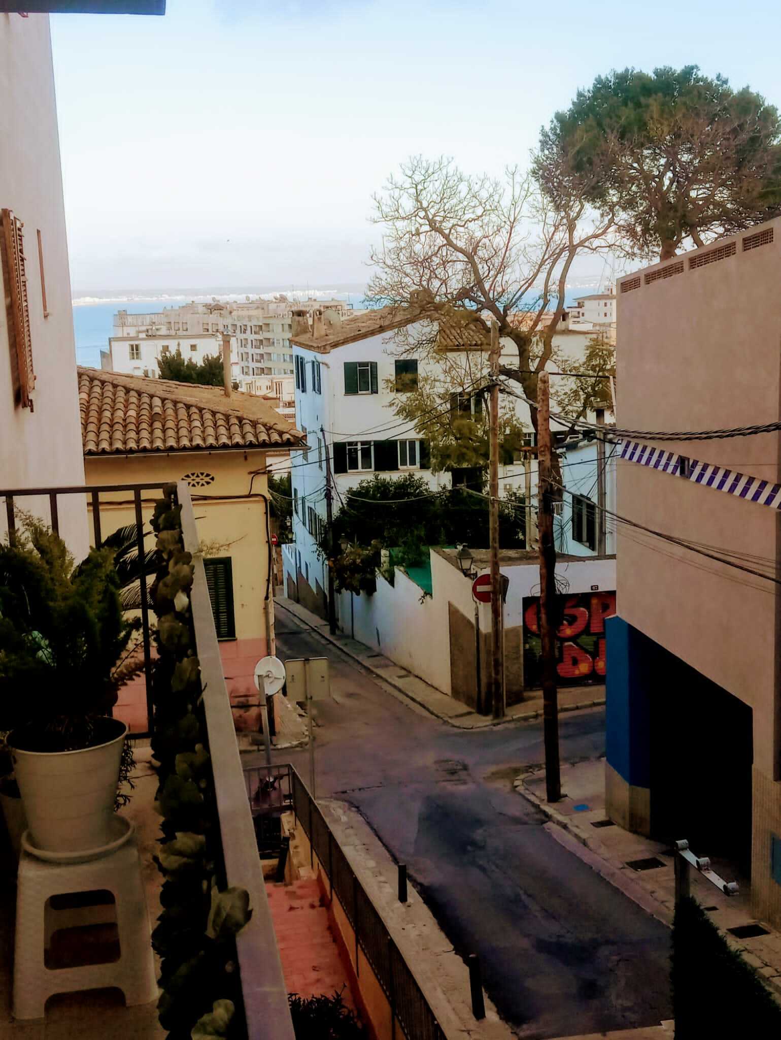 Quedarse En Casa Palma 250961