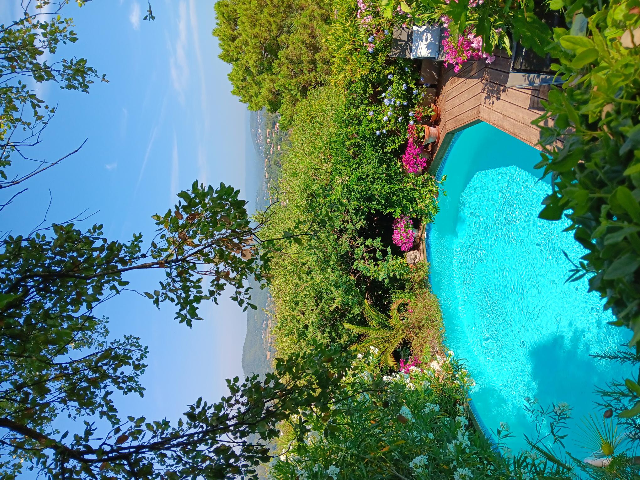 Estudio Independiente Vidauban 204165