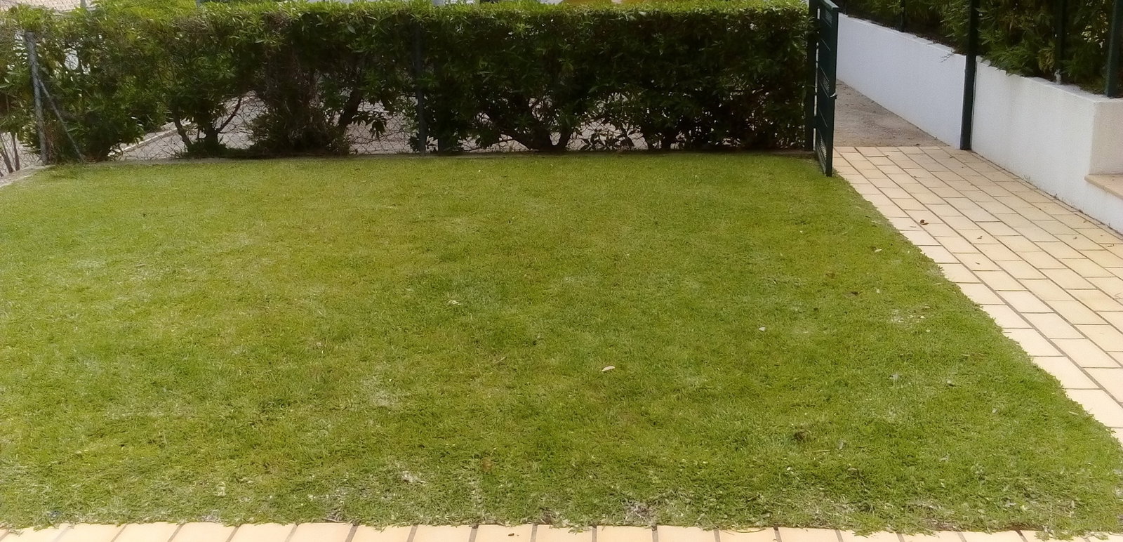 Toda La Casa Albufeira 256360