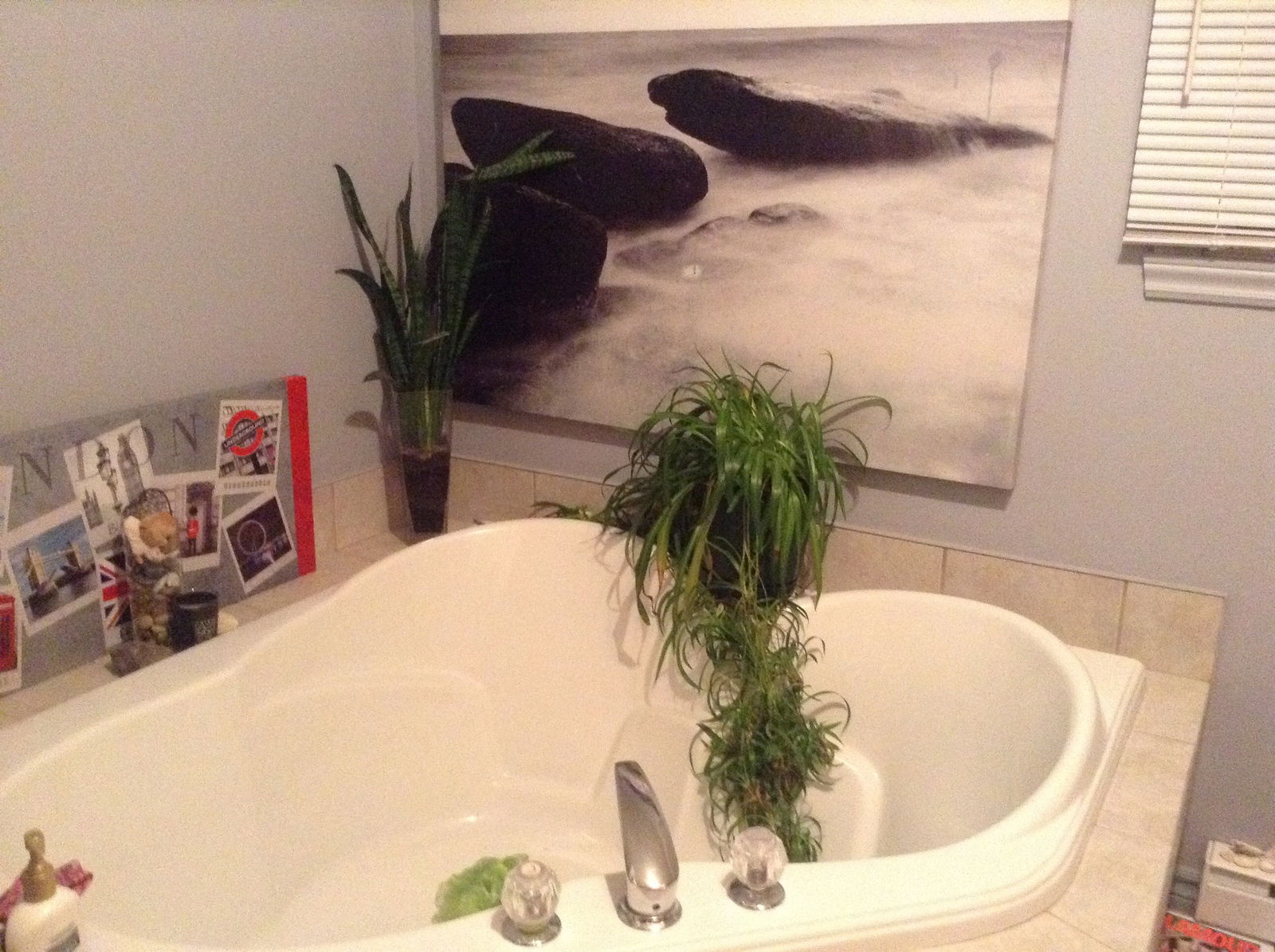 Chambre Chez L'habitant Bollwiller 123769