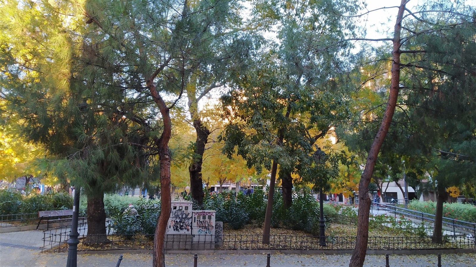 Famiglia Madrid 162214