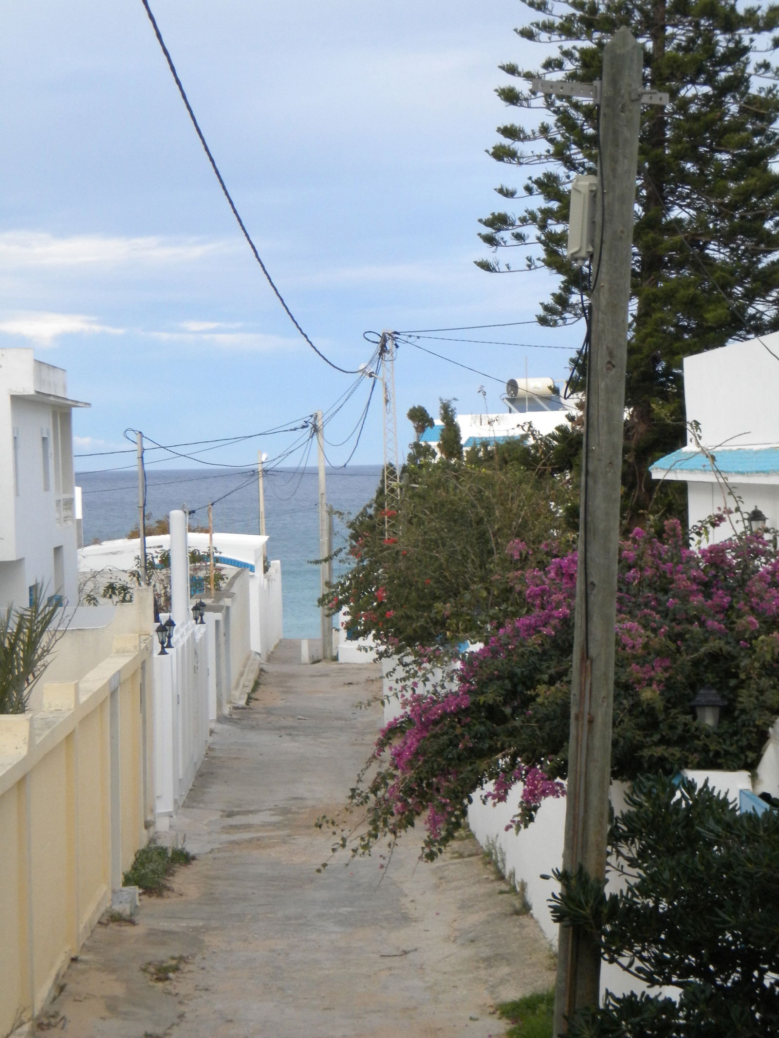 Ganz Haus Tunis 319316