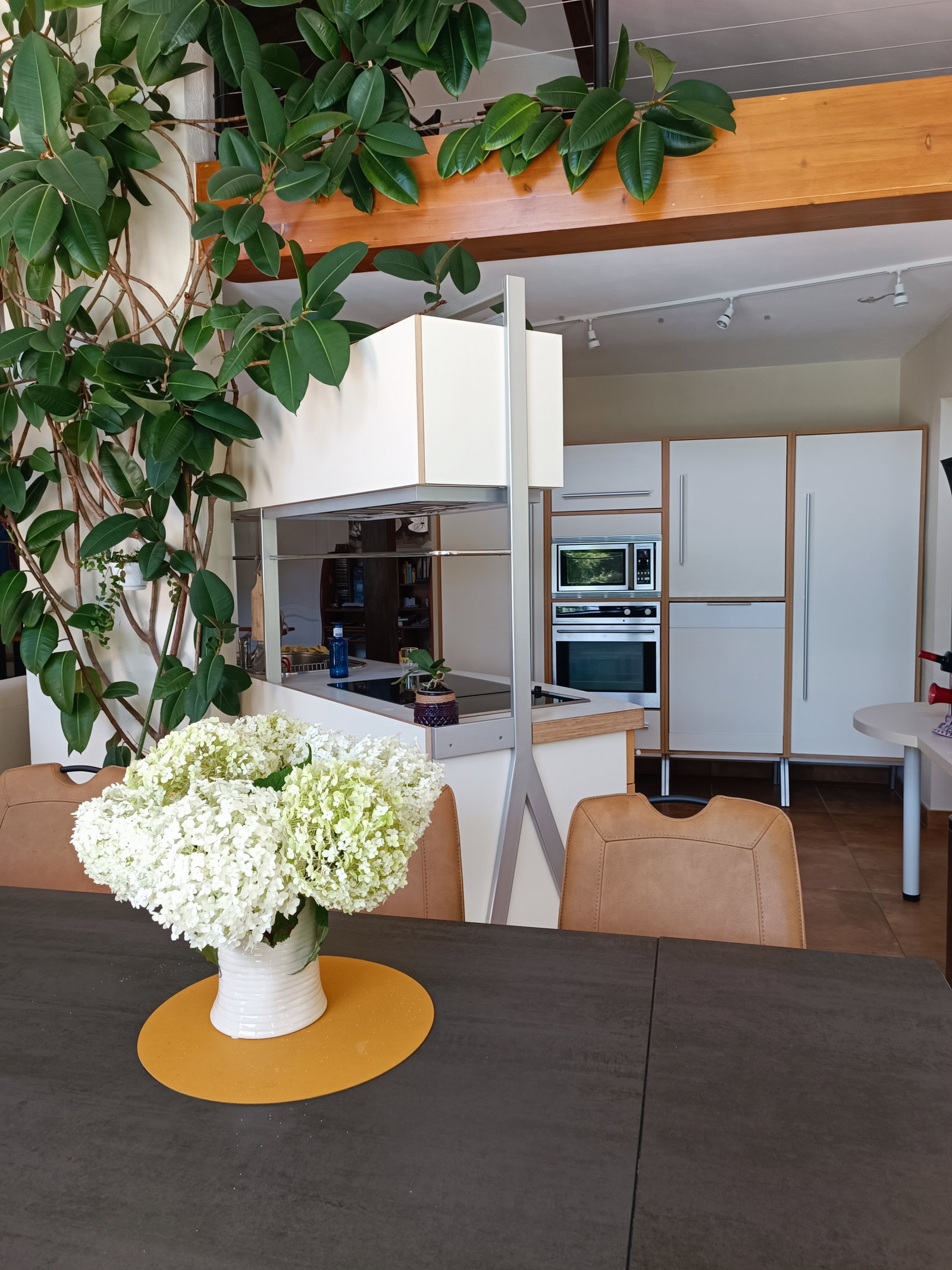 Colocation Bidart 660666