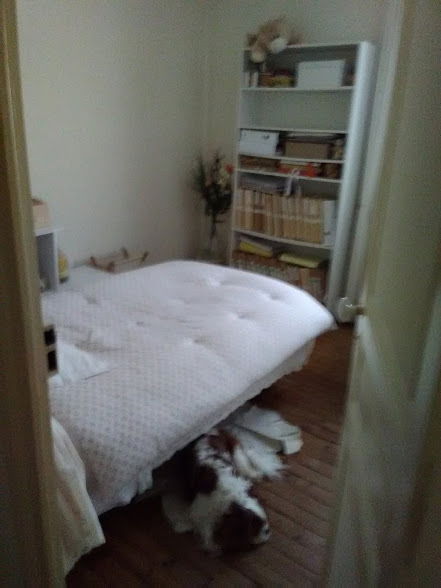 Homestay Vichy 141181