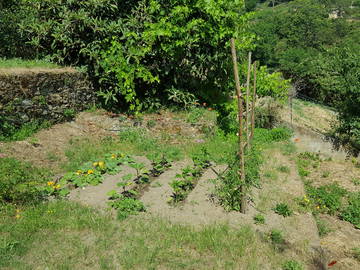 Chambre Chez L'habitant Porri 181637-7