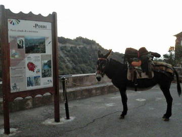 Chambre Chez L'habitant Porri 181637-8