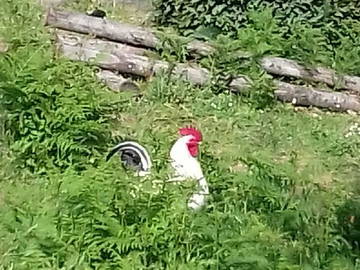 Chambre Chez L'habitant Porri 181637-9