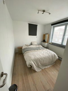 Kolokasie Mouscron 627028