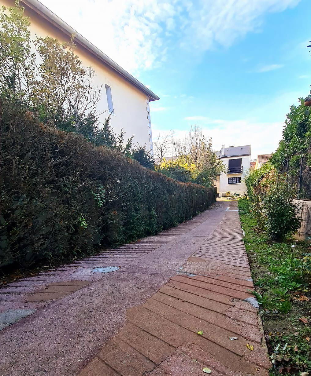 Kolokasie Fresnes 252560