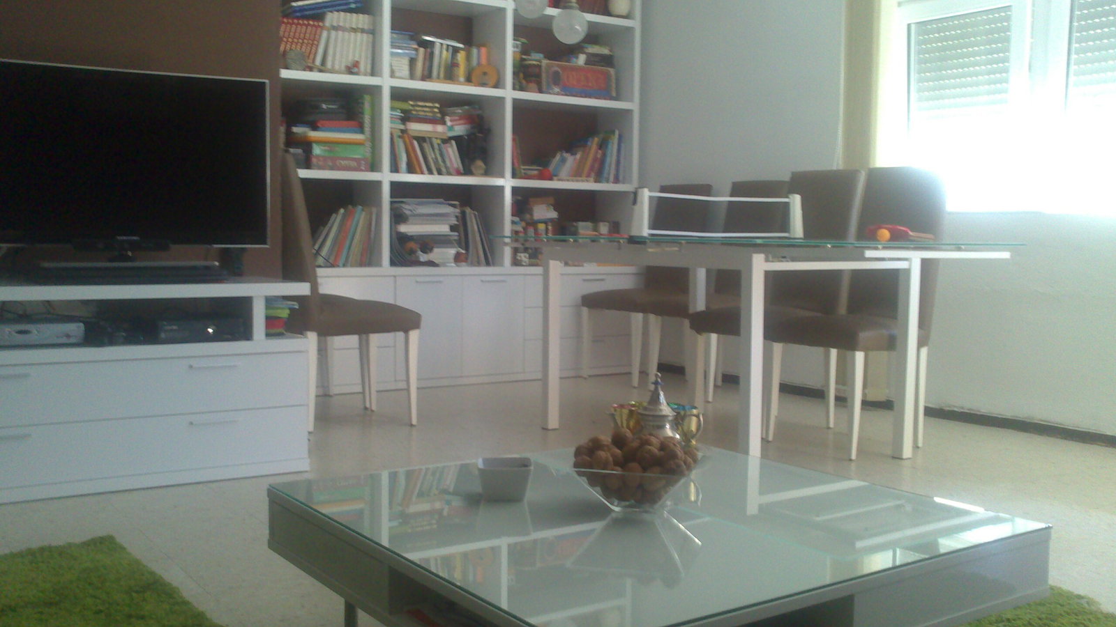 Kolokasie Cádiz 108243