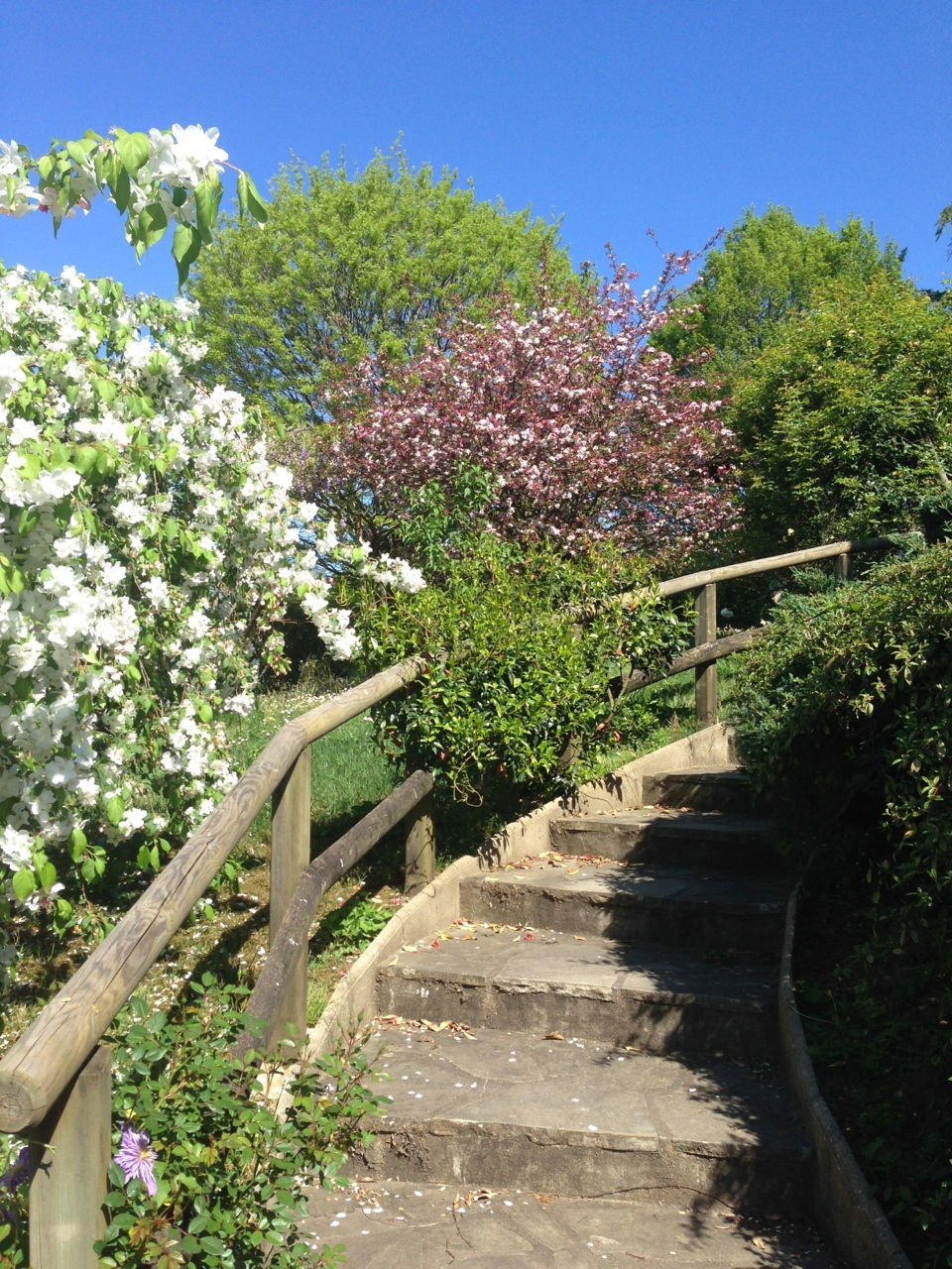 Tuisverblyf Saint-Pierre-d'Irube 82611