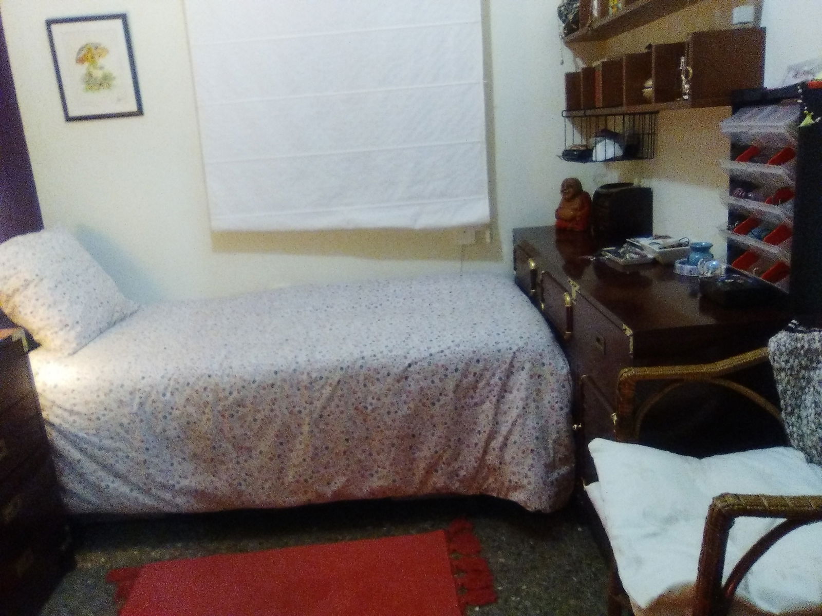 Colocation Barcelona 34651