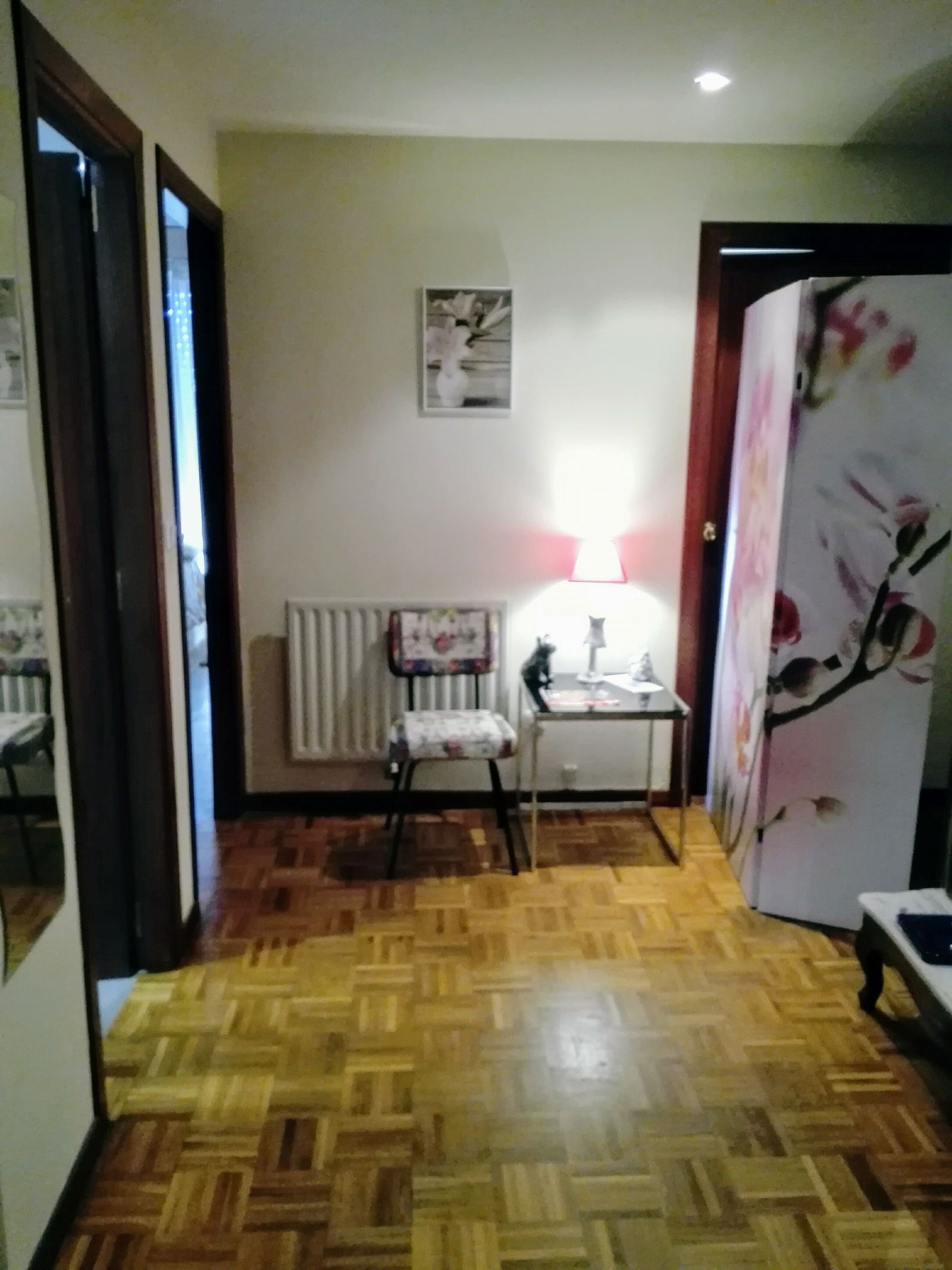 Hjemmeophold Donostia 208876