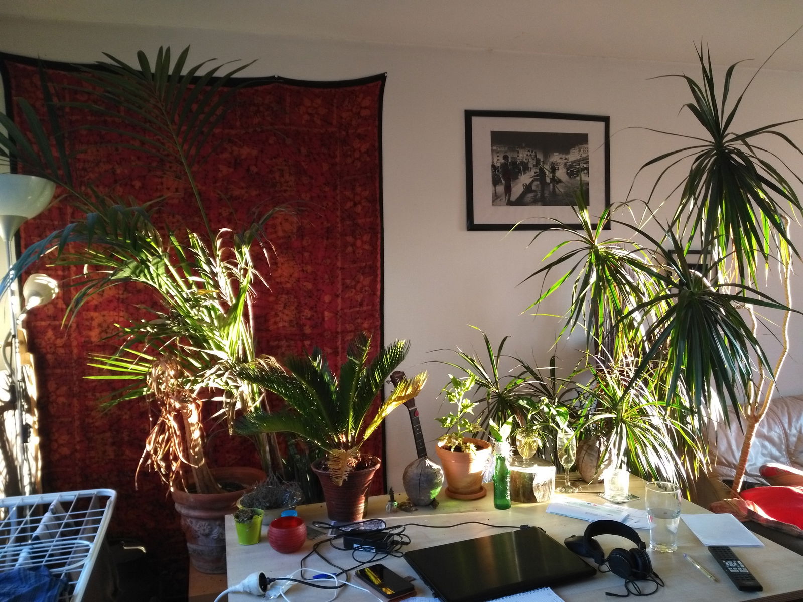 Colocation Villeurbanne 185971