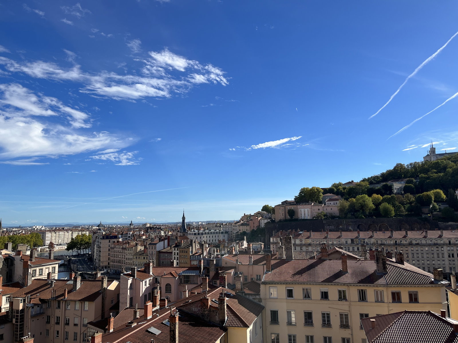 Colocation Lyon 591331