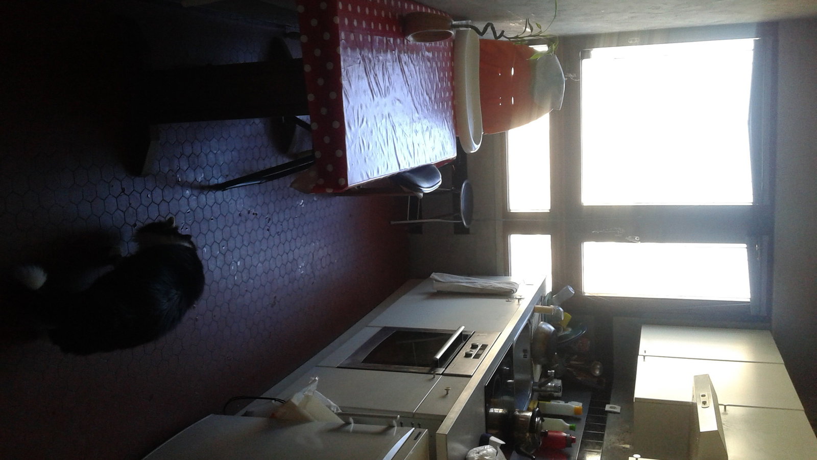 Colocation Paris 133574