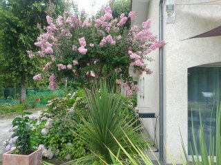 Unabhängiges Studio Cestas 219887