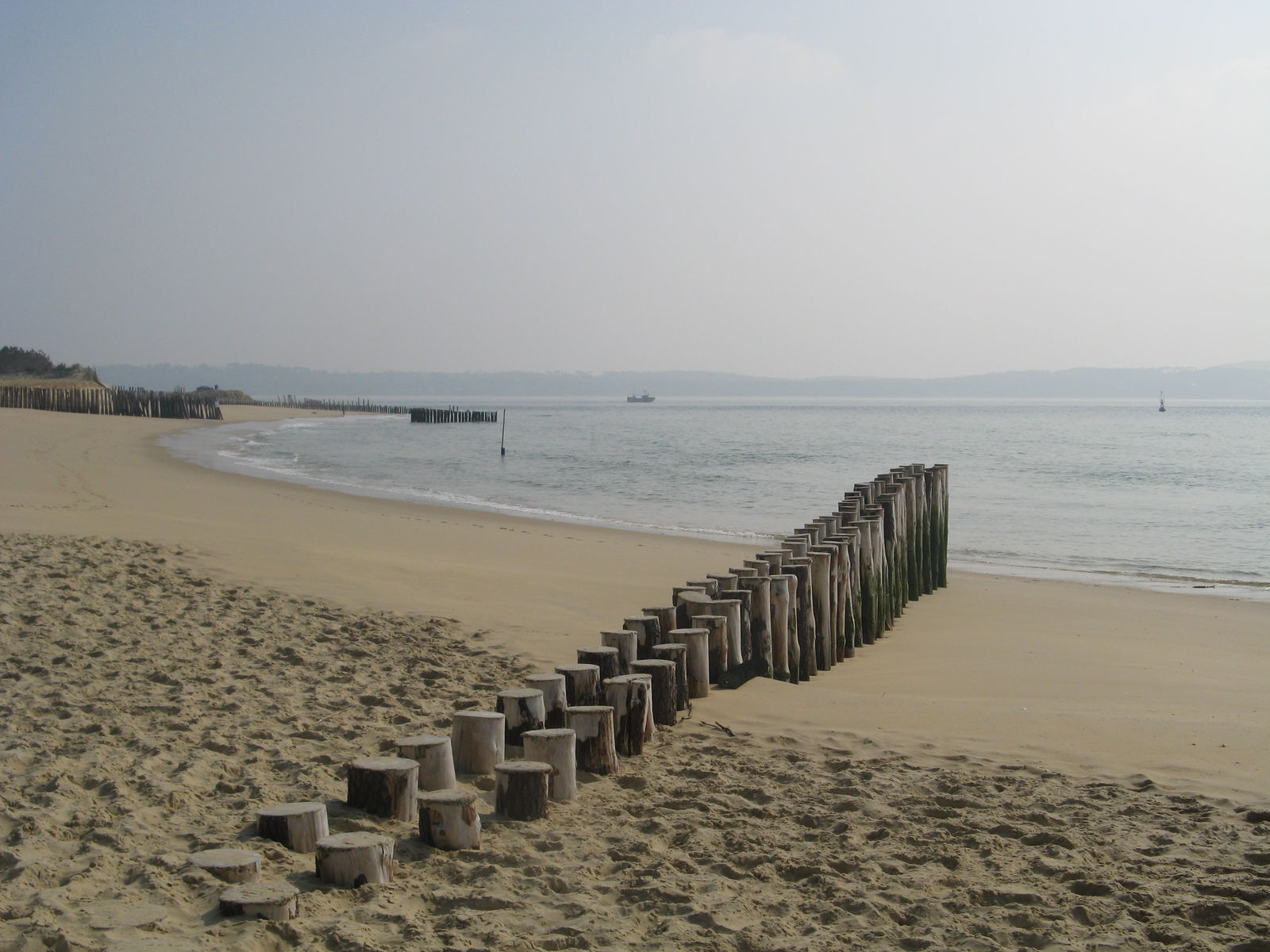 Unabhängiges Studio Cestas 219887