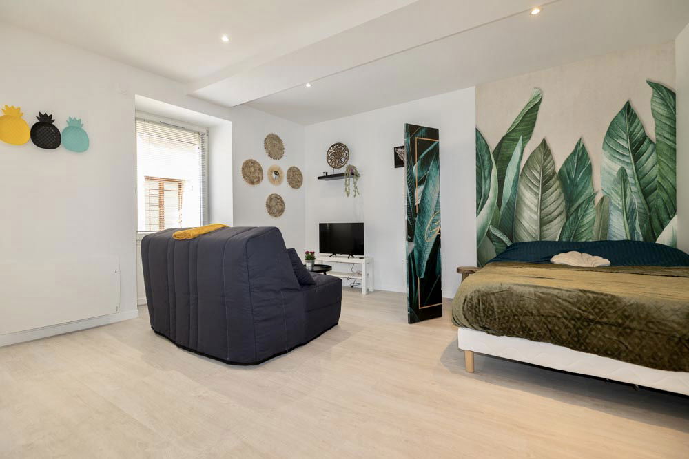 Entire Home Le Grand-Lemps 309203