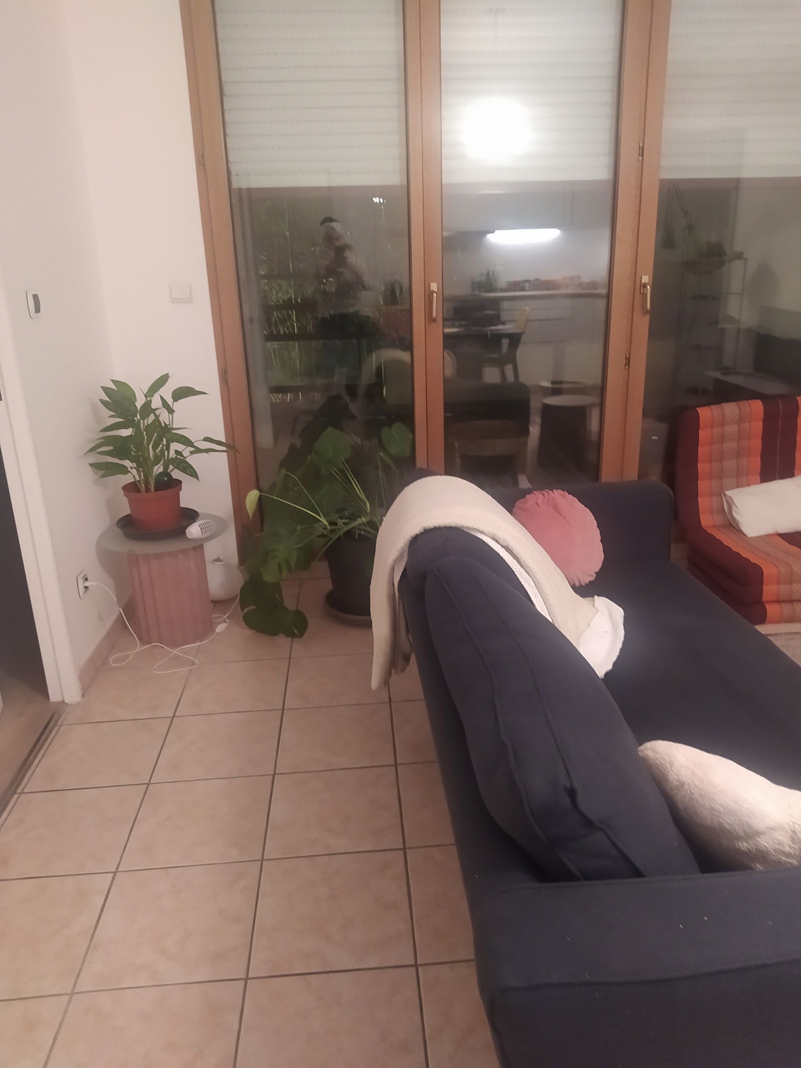 Homestay Villeurbanne 343417