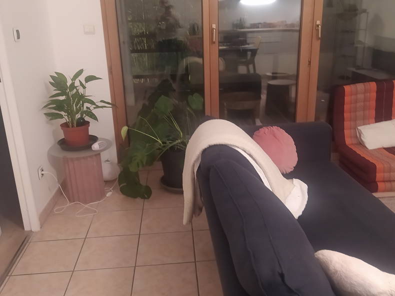 Hospedagem Em Casa De Família Villeurbanne 343417-1